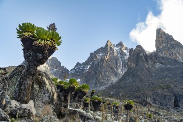 Monte Kenia: hogar de los últimos glaciares de África