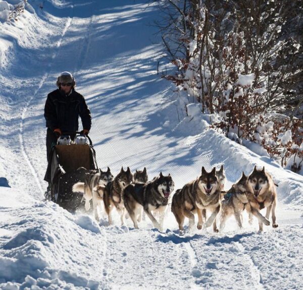 Macizo de Vercors en Francia escenario ideal para viajar en trineo jalado por perros