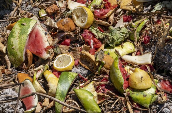 Siete consejos para reducir el desperdicio de alimentos en casa